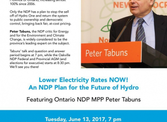 Oakville NDP Annual General Meeting Features MPP Peter Tabuns