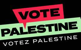 Oakville NDP Candidates Diane Downey Supports Vote Palestine and End of War in Gaza