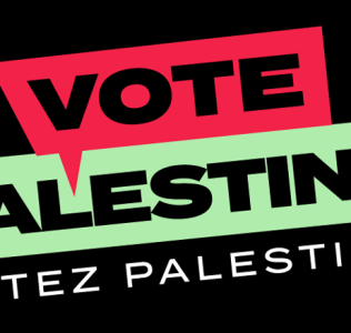 Oakville NDP Candidates Diane Downey Supports Vote Palestine and End of War in Gaza
