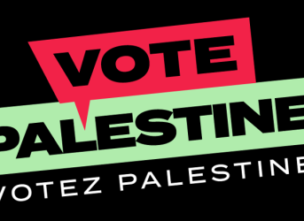 Oakville NDP Candidates Diane Downey Supports Vote Palestine and End of War in Gaza
